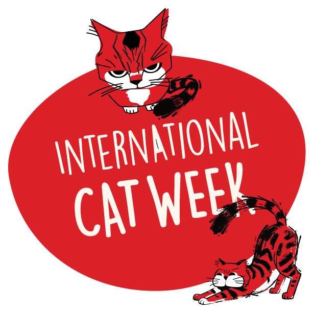 Cat Week Deals