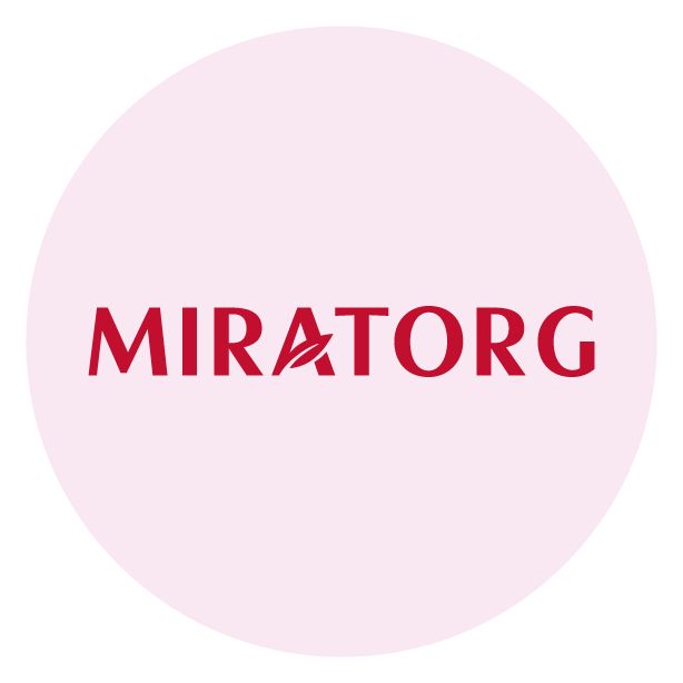 Strapi Image