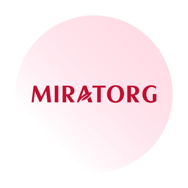 Strapi Image