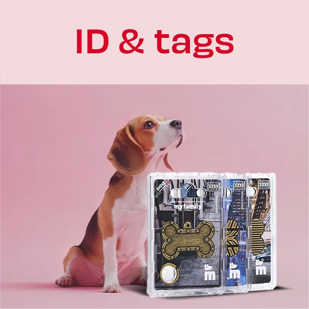 Strapi Image
