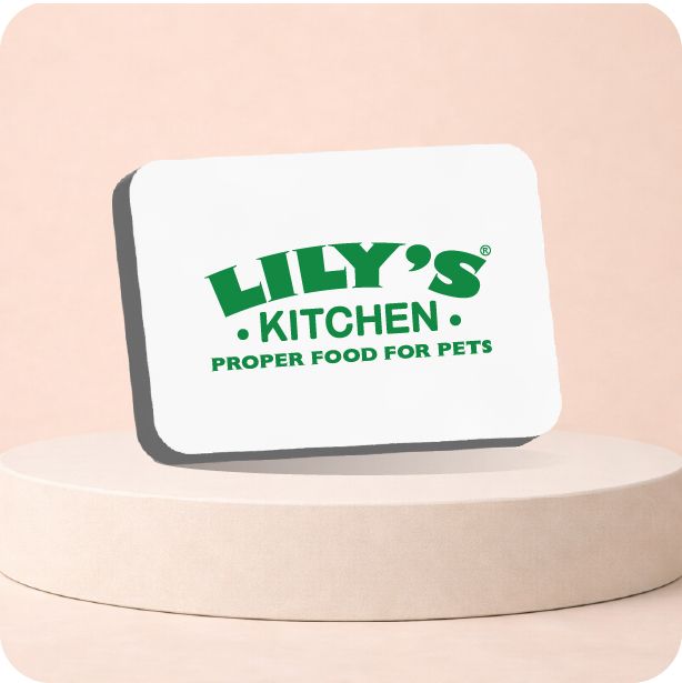 Lily's Kitchen