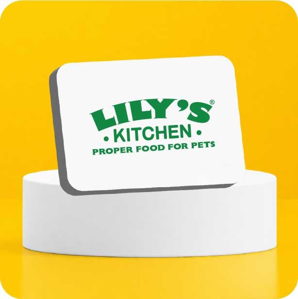 Lily's Kitchen