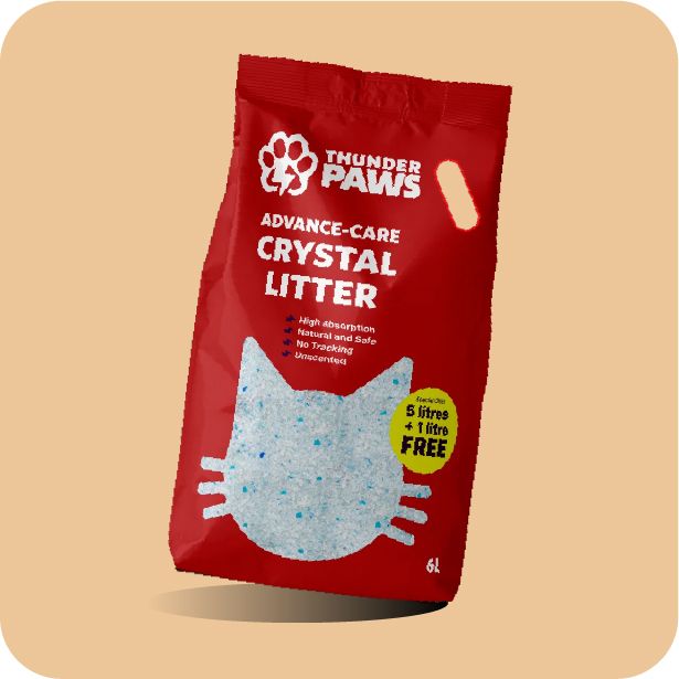 Cat Litter