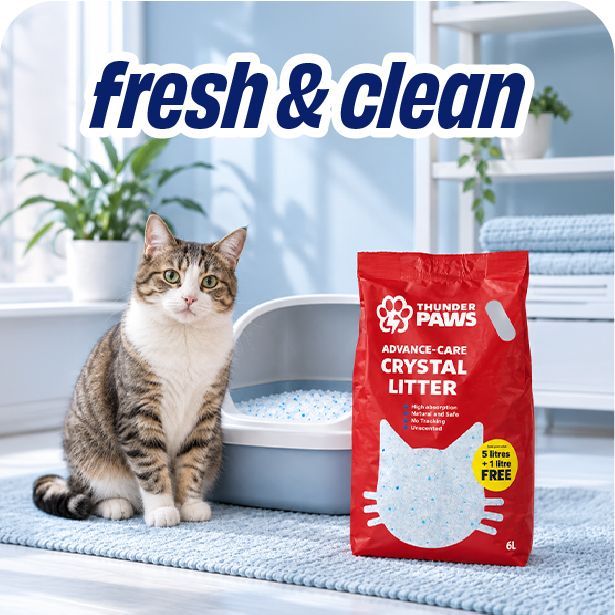 Cat Litter