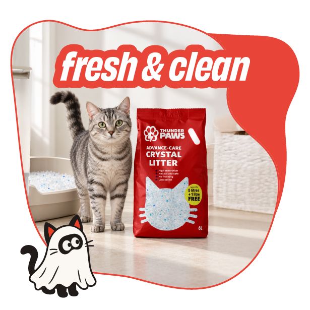 Cat Litter