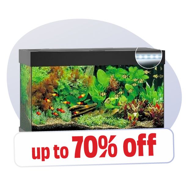 Aquatic World