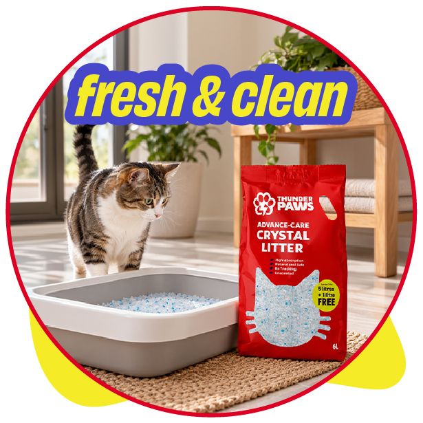Cat Litter