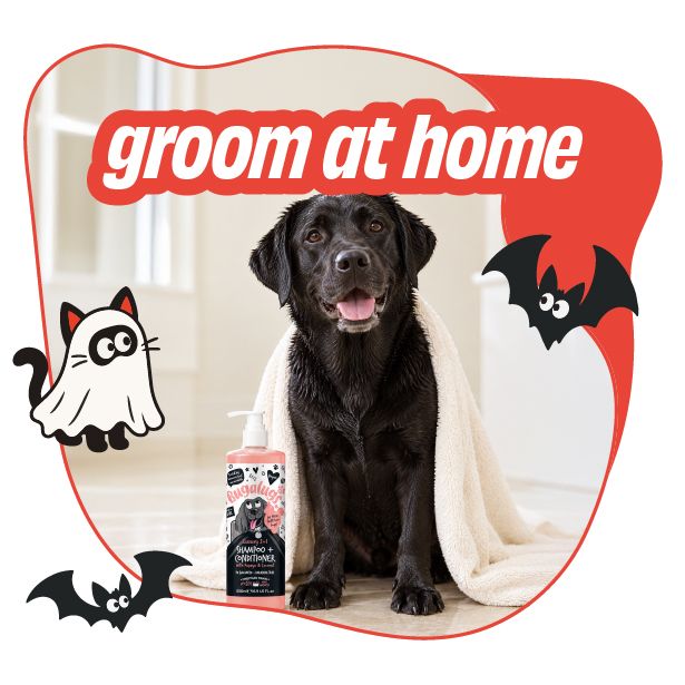 Grooming Picks