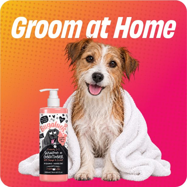 Grooming Picks