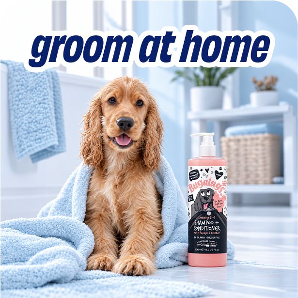 Grooming Picks
