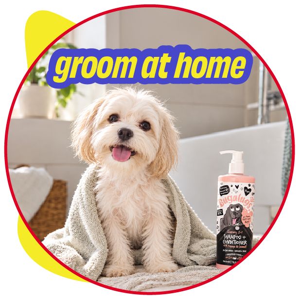Grooming Picks