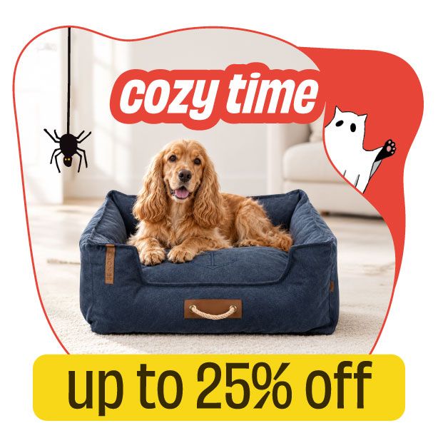 Cozy Beds