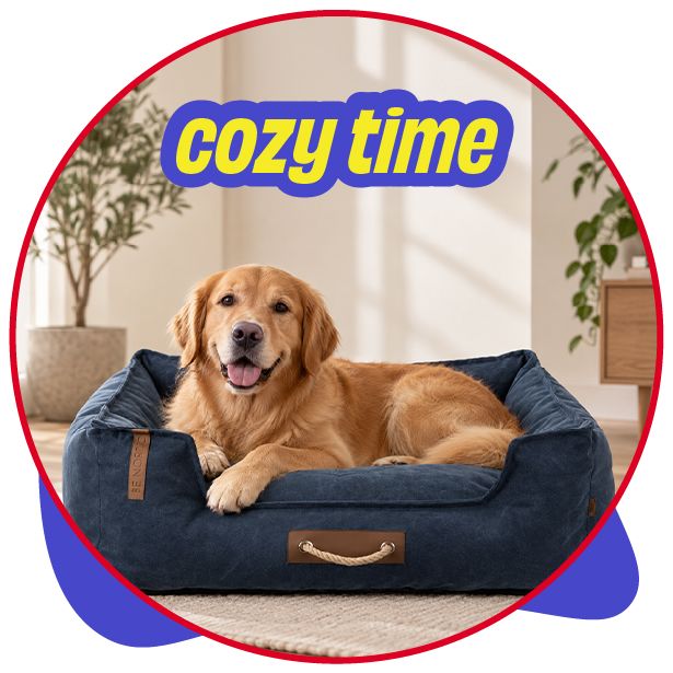 Cozy Beds