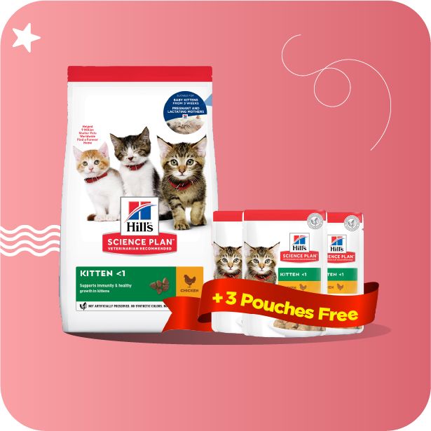 HIll's Kitten Bundle