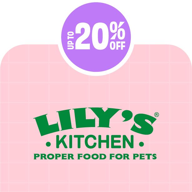 Lily's Kitchen