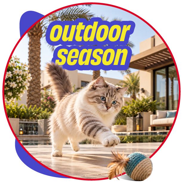 Outdoor Picks