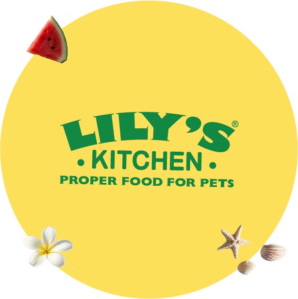 Lily's Kitchen