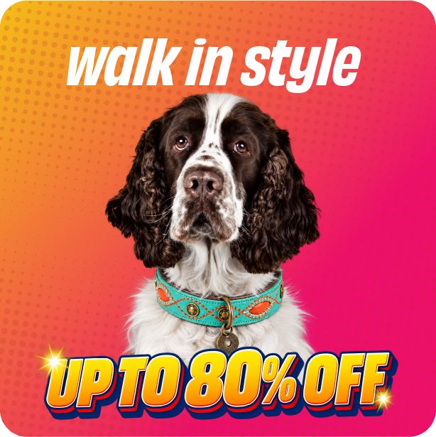 Walk Essentials