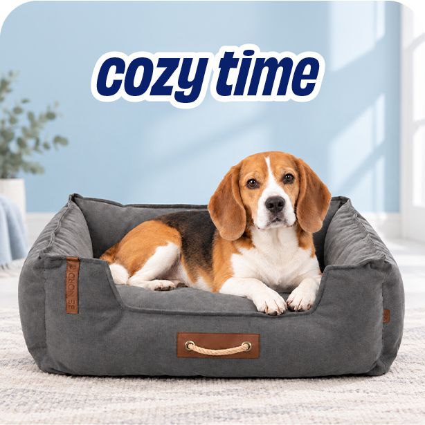 Cozy Beds