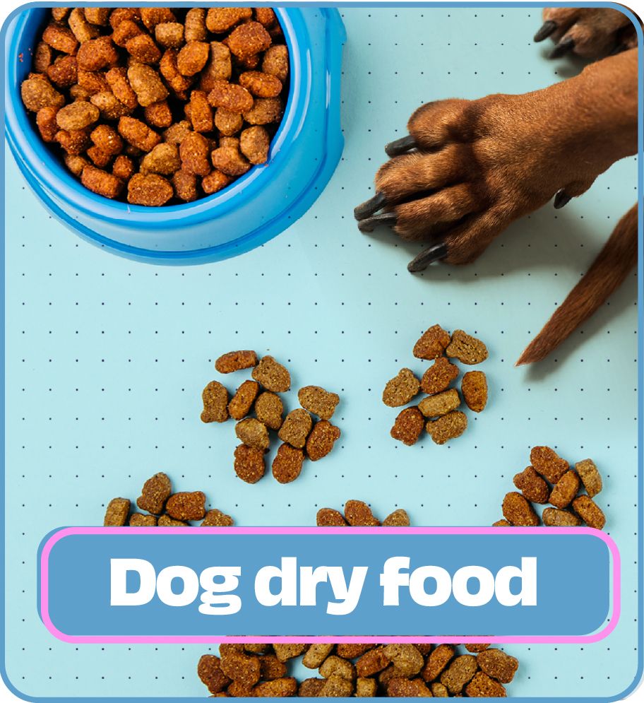 /collections/dog-dry-food-c1001