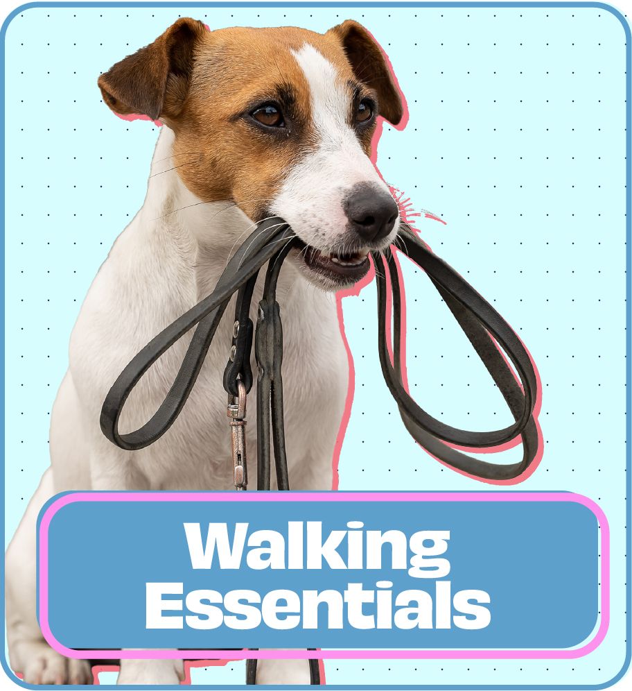 /collections/dog-leads-collars-and-harnesses-c109