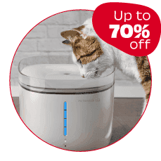 Fountains & feeders