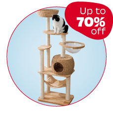 Cat Tree