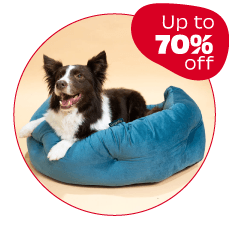 Dog Beds