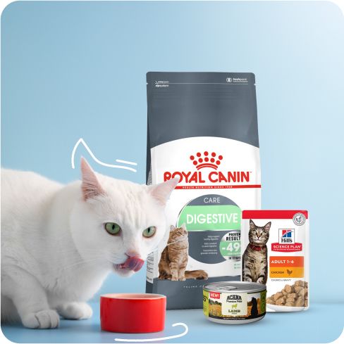 Cat Food