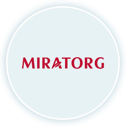 Strapi Image