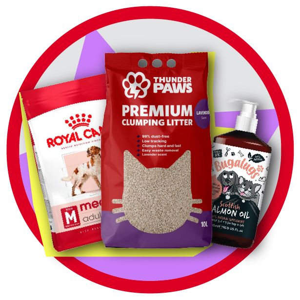 Best of November deals