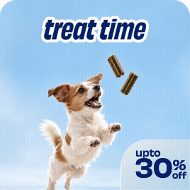 Treat Time