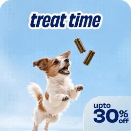 Treat Time