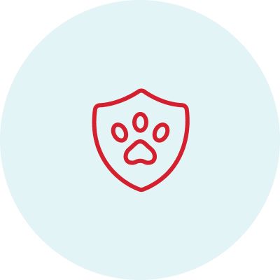 Pet Insurance