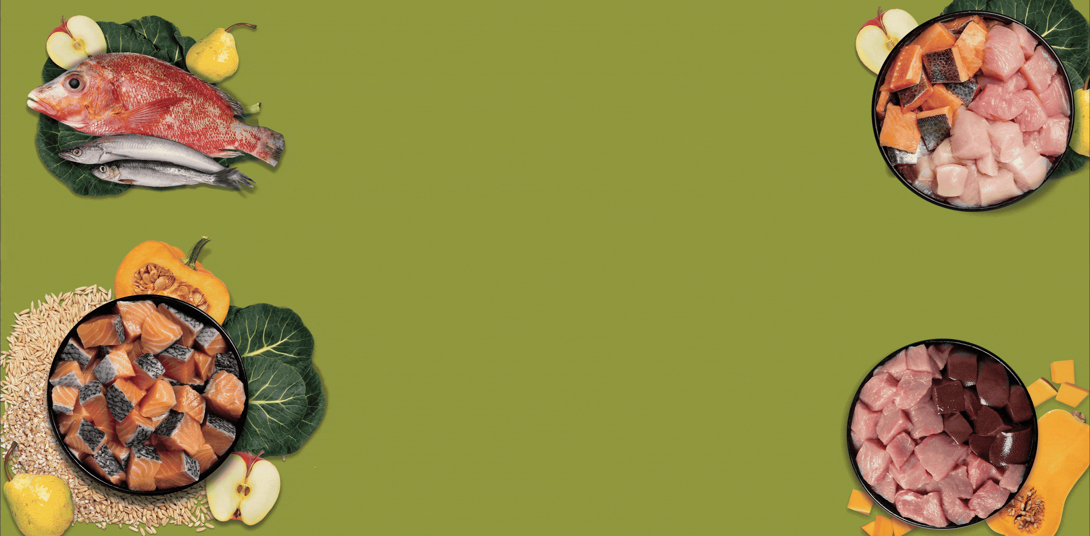 Strapi Image
