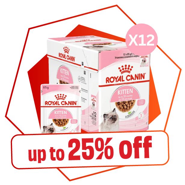 Bundle Packs