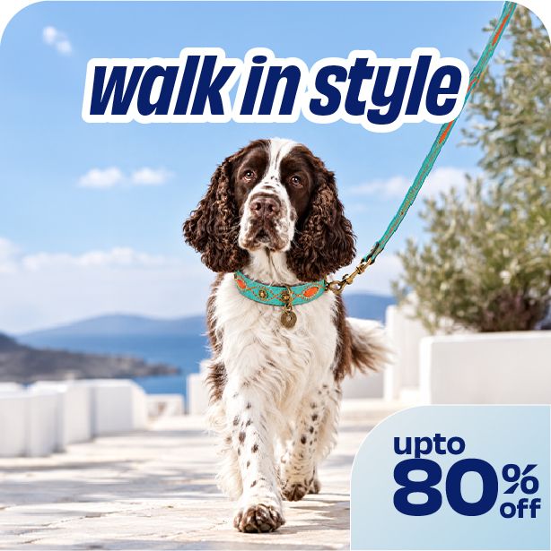 Walk In Style
