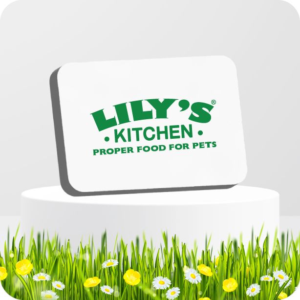 Lily's Kitchen