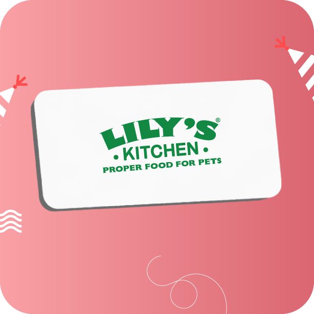 Lily's Kitchen