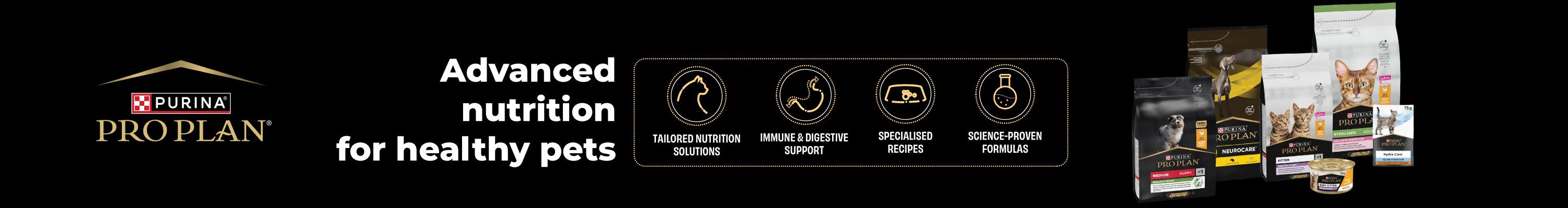 Strapi Image